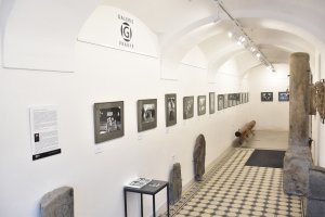 Výstava Dalibora Bednáře