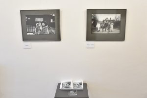 Výstava Dalibora Bednáře