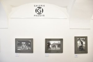 Výstava Dalibora Bednáře