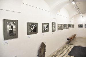 Výstava Dalibora Bednáře