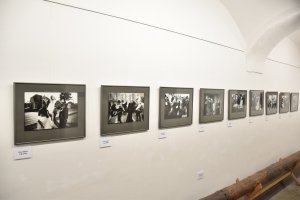 Výstava Dalibora Bednáře