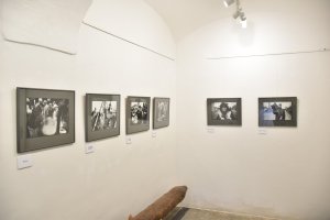 Výstava Dalibora Bednáře