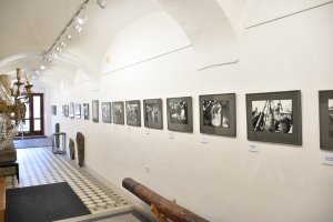 Výstava Dalibora Bednáře