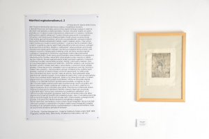 Výstava Vladimíra Boudníka