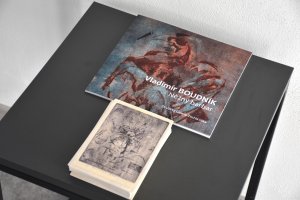 Výstava Vladimíra Boudníka