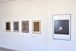 Výstava Vladimíra Boudníka