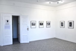 Výstava Romana Kubíka