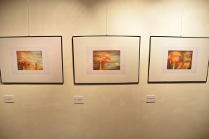 Výstava Heleny Navrátilové