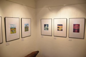 Výstava Heleny Navrátilové