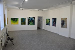Výstava Evy Prokopcové