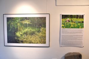 Výstava Lenky Romaňákové