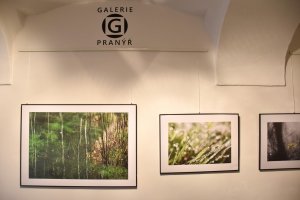 Výstava Lenky Romaňákové