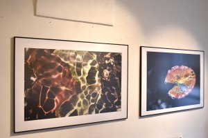 Výstava Lenky Romaňákové