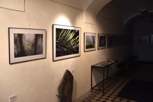 Výstava Lenky Romaňákové