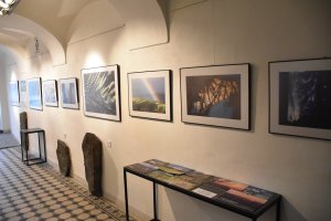 Výstava Lenky Romaňákové