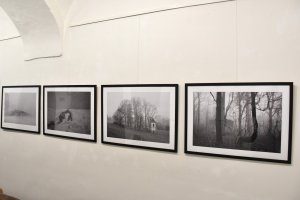 Výstava Bronislava Smešného