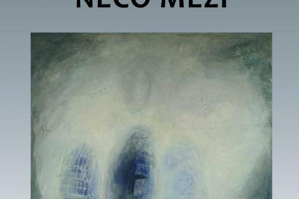 PAVEL RAJDL: NĚCO MEZI