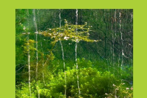 LENKA ROMAŇÁKOVÁ: JESENICKÁ ZÁKOUTÍ